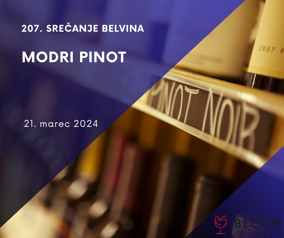 205. srečanje Belvina - Peneča vina sveta in Slovenije